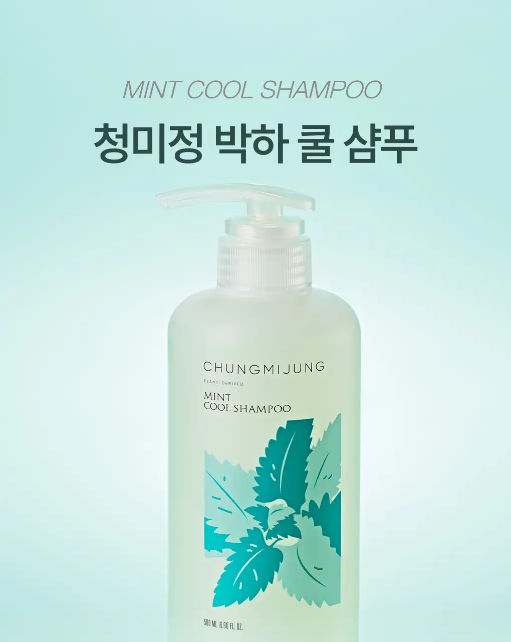 [성분천재/떡짐샴푸] 청미정 박하 쿨 샴푸 500ml (단품/기획) 상세페이지 3